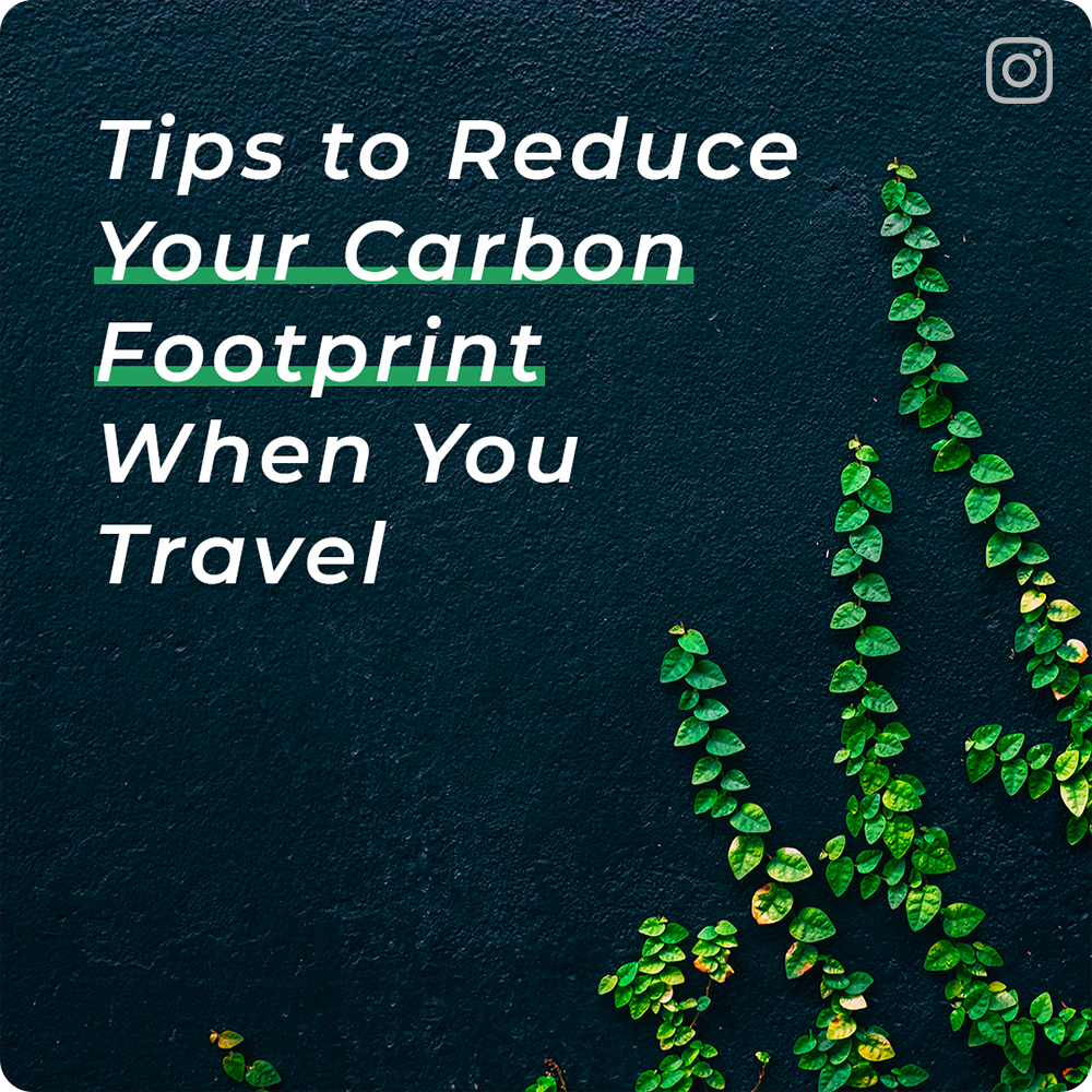 tips to reduce your carbon footprint when you travel